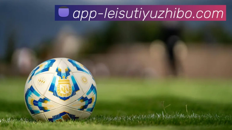 雷速体育直播服务体系